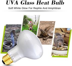 img 2 attached to 🦎 OMAYKEY 50W 2-Pack Soft White Glow Basking Spot Heat Lamp Bulb with UVA Glass Cover - Perfect for Lizard, Chameleon, Bearded Dragon, Snake, Aquarium Reptile & Amphibian Care