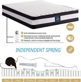 img 3 attached to 🛏️ Qsleep DreamQi 8-Inch Twin Hybrid Memory Foam Mattress - Breathable & Comfortable in a Box, Pressure Relief & Sleep Supportive (Twin Size, 8-Inch)