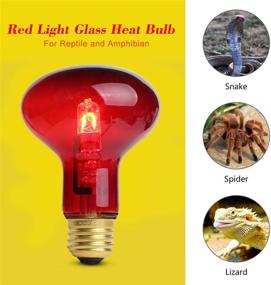 img 2 attached to AOMRYOM 75W Infrared Heat Lamp Bulb - Ideal for Pet Reptiles and Amphibians