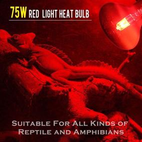 img 1 attached to AOMRYOM 75W Infrared Heat Lamp Bulb - Ideal for Pet Reptiles and Amphibians