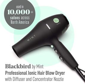 img 3 attached to 💨 BLACKBIRD Ionic Hair Blow Dryer with Diffuser by MINT: Professional Series, Whisper Quiet & Lightweight, 1875 Watts Salon-Grade Drying Power