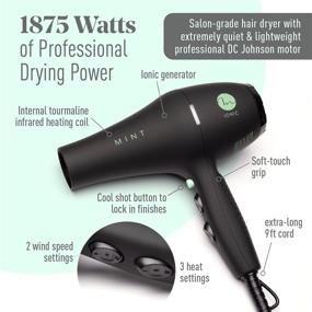 img 2 attached to 💨 BLACKBIRD Ionic Hair Blow Dryer with Diffuser by MINT: Professional Series, Whisper Quiet & Lightweight, 1875 Watts Salon-Grade Drying Power