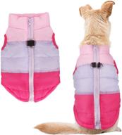 🐶 idepet pet dog cat coat: color patchwork padded vest jacket with leash anchor for teddy, chihuahua, pug - xs s m l sizes logo