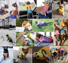 img 3 attached to 🐶 Idepet Pet Dog Cat Coat: Color Patchwork Padded Vest Jacket with Leash Anchor for Teddy, Chihuahua, Pug - XS S M L Sizes