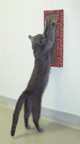 img 4 attached to 🐱 Cat Dancer Products Wall Scratcher: The Perfect Solution for Your Cat's Claws