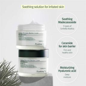 img 3 attached to 🌿 PYUNKANG YUL Calming Moisture Barrier Cream - Nourishing K-Beauty Face Moisturizer with Ceramides, Tea Tree, Shea Butter and Hyaluronic Acid - 1.7 Fl. Oz.