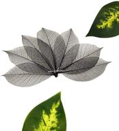 🍂 nava chiangmai rubber tree leaves - pack of 100 skeleton leaves: diy craft decorations for scrapbooking, handmade cards, and embellishments (black) logo