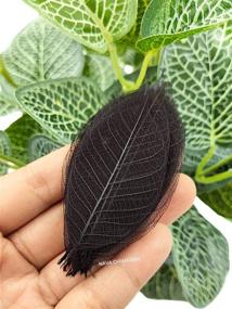 img 2 attached to 🍂 NAVA CHIANGMAI Rubber Tree Leaves - Pack of 100 Skeleton Leaves: DIY Craft Decorations for Scrapbooking, Handmade Cards, and Embellishments (Black)