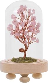 img 4 attached to 🌳 SHINECRYS Crystal Decor Life Tree: Chakra Stone Healing & Feng Shui Gemstone with Glass Cover - Invite Good Luck!