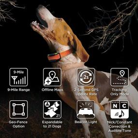 img 1 attached to 🐕 Dogtra Pathfinder Series GPS Tracking & Training E-Collar: 9-Mile Range, 21-Dog Expandable Waterproof Smartphone with 2-Second Update Rate, No Subscription Fee, Free Satellite Map