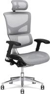 🪑 x-chair x2 management task chair with headrest: ergonomic office seat with incredible lumbar support and highly adjustable features - perfect for long work days logo