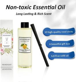 img 3 attached to 🍊 NevaehHeart Orange Blossom Reed Diffuser Oil Refill and Sticks Set: Fragrant Orange Blossom, Lilacs & Chamomile - 6.8 oz Liquid Refill with Free Reed Sticks