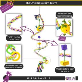 img 2 attached to 🐦 Cotton Boing n' Toy Climb Swing Twist Spiral for Birds - Bungee Rope, Colorful Perch - Suitable for Various Bird Sizes: Keet, Tiel, Quaker, Conure, African Grey, Amazon, Cockatoo, Macaw - Select Perfect Size