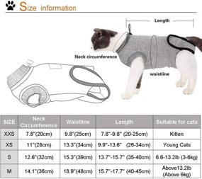 img 3 attached to 🐱 DogLemi Cat Recovery Suit: Soft Comfort Alternative for Abdominal Wounds and Skin Diseases in Small-Medium Cats