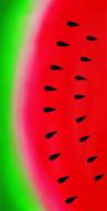 bahia collection dohler watermelon brazilian logo