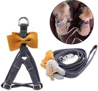 catyou harness adjustable collar kitten logo