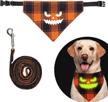 halloween collar leash glow dark logo