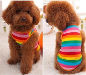 img 1 attached to 🌈 Ztl Rainbow Stripe Dog Shirts: Stylish Pet T-Shirt for Comfortable Cotton Vest Puppy Apparel - Dog Cat Clothes