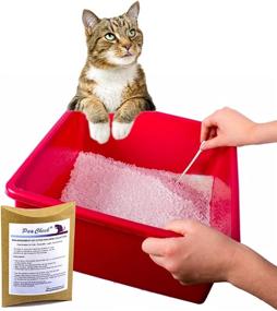 img 2 attached to 🐾 PawCheck Cat Litter: Reusable Urine Collection Kit for Monitoring Cat Health