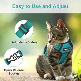 img 2 attached to 🐱 CatRomance Escape Proof Cat Harness: Breathable, Adjustable Leash Set for Outdoor Walking with Quick-Release Buckle and Reflective Strips