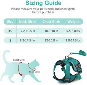 img 3 attached to 🐱 CatRomance Escape Proof Cat Harness: Breathable, Adjustable Leash Set for Outdoor Walking with Quick-Release Buckle and Reflective Strips