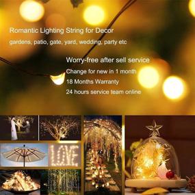 img 2 attached to 🌞 Outdoor Solar Fairy String Lights - 170ft 480 LED Twinkle String Lights, 2-Pack 85FT Waterproof Rope Lights for Porch Garden Decor, Decorative Christmas Copper Wire Lights for Backyard Patio