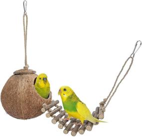 img 4 attached to 🌴 Niteangel Coconut Hideaway: 100% Natural Ladder Toy for Birds and Small Animals