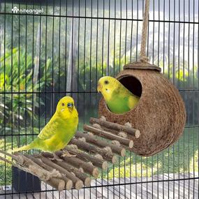 img 1 attached to 🌴 Niteangel Coconut Hideaway: 100% Natural Ladder Toy for Birds and Small Animals