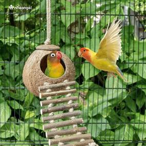 img 2 attached to 🌴 Niteangel Coconut Hideaway: 100% Natural Ladder Toy for Birds and Small Animals