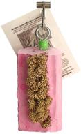 pollys millet mini log cactus snack logo