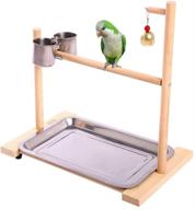 🦜 qbleev bird playground and playstand tabletop gyms with feeder cup and tray - ideal for small to medium conure cockatiel parakeet finch macaw logo