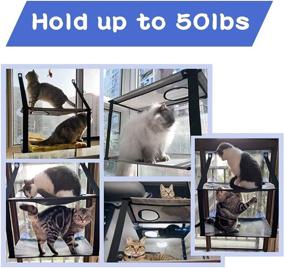 img 1 attached to 🐱 KizmetKare Cat Window Perch: Double Hammock Seat for Large Cats - Space Saving & Secure Window Mounted Bed with 6 Suction Cups