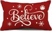 christmas believe snowflake outdoor pillowcase logo