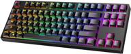 🔥 hiwings tkl mechanical keyboard: rgb rainbow backlit, 80% compact gaming keyboard with blue switches for windows/mac, type c adapter & otg included (black) logo
