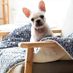 img 2 attached to 🐾 FJWYSANGU Pet Blanket: Premium Fluffy Flannel Cushion for Dogs and Cats - Soft, Warm, and Stylish Stars Pattern