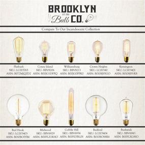 img 1 attached to Bulb Squirrel Filament Brooklyn Co: A Vintage-Inspired Lighting Solution