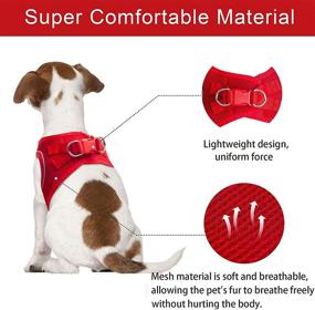 img 3 attached to 🐾 TwoEar Reflective Dog Vest Harness - No-Pull Pet Harness with Easy Control, Breathable Mesh, Soft Step-in Design - Ideal for Outdoor Walking, Training - Small Dogs