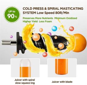 img 2 attached to CHULUX Slow Masticating Juicer Machine: High Yield Cold Press Extractor for Nutrient-Rich Vegetable and Fruit Juice | Low Noise, Perfect for Wheatgrass, Carrot, Kale, and Celery