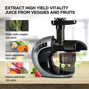 img 3 attached to CHULUX Slow Masticating Juicer Machine: High Yield Cold Press Extractor for Nutrient-Rich Vegetable and Fruit Juice | Low Noise, Perfect for Wheatgrass, Carrot, Kale, and Celery