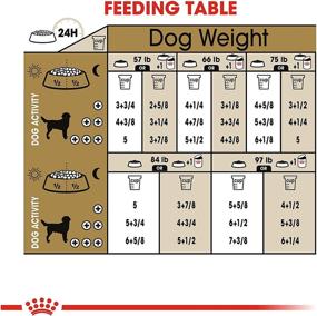 img 1 attached to Optimal Nutrition for Labrador Retrievers: Introducing Royal Canin Labrador Retriever Adult Breed Specific Dry Dog Food