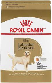 img 4 attached to Optimal Nutrition for Labrador Retrievers: Introducing Royal Canin Labrador Retriever Adult Breed Specific Dry Dog Food