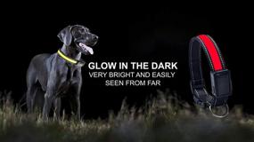 img 1 attached to TDL-Brand Solar-Powered LED Reflective Dog Collar - High Visibility, Adjustable & Lightweight (Yellow, 50cm-60cm)