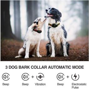 img 1 attached to 🐶 DOBE 2-in-1 Dog Training Collar with Remote - Bark Stop & Anti-Bark Device - Rechargeable, Waterproof, 3 Training Modes - Beep, Vibration, Shock - Up to 1300Ft Range - Suitable for 2 Dogs