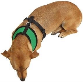 img 2 attached to 🐾 OxGord Pet Control Harness for Dogs & Cats - Comfortable Walking Collar, X-Large Size, in Hunter Green