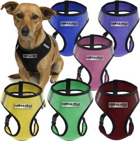 img 1 attached to 🐾 OxGord Pet Control Harness for Dogs & Cats - Comfortable Walking Collar, X-Large Size, in Hunter Green