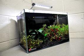 img 1 attached to 🐠 Finnex FugeRay Planted+ LED Aquarium Light with Moonlights - Clip-on Fixture