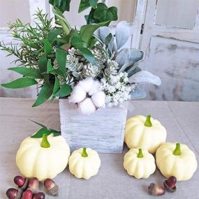 img 2 attached to 🎃 Peicees 6 Realistic Fall Harvest Small Beige Mini Artificial Pumpkins: Perfect for Halloween, Fall, and Thanksgiving Decorating!