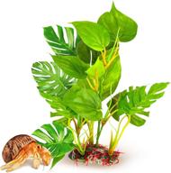 ๐ฟ sungrow anubias leaf plant: ideal 10-inch decoration for hermit crab tanks โ blunt plastic edges, supports 10-gallon tanks (1 pack) logo