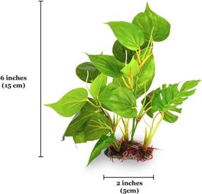 img 1 attached to 🌿 SunGrow Anubias Leaf Plant: Ideal 10-Inch Decoration for Hermit Crab Tanks – Blunt Plastic Edges, Supports 10-Gallon Tanks (1 Pack)