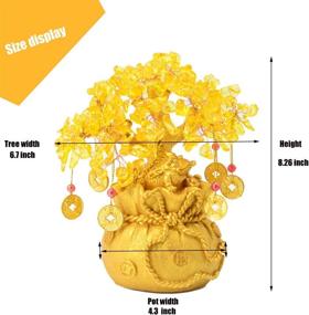 img 3 attached to 💰 Bwinka 8-Inch Feng Shui Frog Yellow Crystal Money Tree: Feng Shui Wealth Coins for Office & Home Table, Enhancing Luck and Prosperity – Perfect Gift